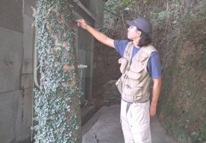 　因為喜歡馬祖的氣候來地區服務，鍾情植物的植物醫生李雋智在馬祖已經有屬於自己原生植物的小天地。（圖：林冰芳）