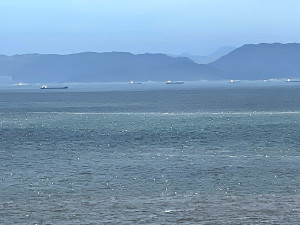 　隨波逐流。（圖與文：陳鵬雄）