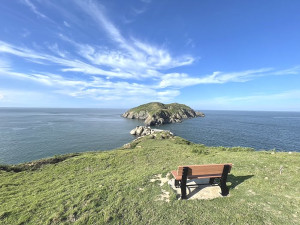 　到不了。（圖與文：陳鵬雄）