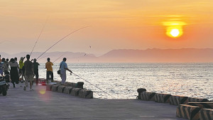 　夕陽伴魚歸。（圖與文：陳鵬雄）