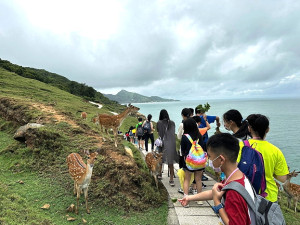 112年度環境教育暑期營隊圓滿落幕,兩梯次60位學員一同體驗大坵豐富的生態環境、馬祖在地文化及環境教育。(圖:連江縣環資局)