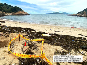 馬祖偶爾會發現擱淺鯨豚,產發處說明民眾發現可通報海岸巡或聯繫產發處。(圖:產發處)