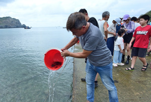 　東引鄉公所13日下午在北澳碼頭辦理條石鯛魚苗放流活動，吸引許多鄉親、小朋友到場參加。（圖／文：陳其敏）