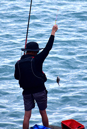 　進入秋冬季節，東引磯釣休閒活動逐漸增溫，容易抵達的燕秀澳、清水澳等釣點，常見釣友專注釣魚。（圖／文：陳其敏）