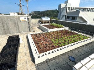 推動永續家園,環資局積極推動一系列低碳永續家園認證工作,今年成功在東引警察所建置「綠屋頂」,以降低溫室效應。(圖:連江縣環資局)