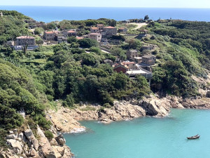 　位於東莒頂山下方的無名涼亭可眺望大浦聚落及大坪村，山景海景盡收眼底。（圖／文：林冰芳）