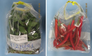 11月份市售食品抽驗　九層塔、辣椒農藥殘留不符標準