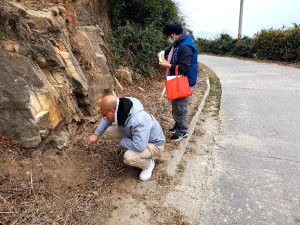 縣府產發處、連江縣農會防治紅火蟻進行藥劑施灑。(圖:縣府產發處)