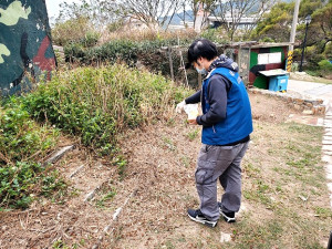馬祖各鄉發現零星紅火蟻巢　產發處、縣農會展開藥劑施灑