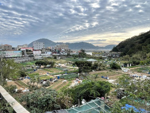 　塘岐怡園是座落在黃金地段的菜園，若要進一步開發需要整合區位內多數私有土地。（圖／文：陳鵬雄）