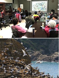 　2018燕鷗生態保育座談19日舉行，讓與會者認識馬祖豐富鳥類資源，加強保育觀念，提升解說技巧。（圖：吳嘉榮、本報資料室）