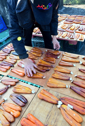 　東引野生烏魚子在低溫環境下製成，飽滿緊實，口感豐美，價格也很親民。（圖／文：陳其敏）