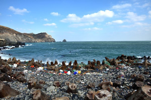 　寒流強襲、風浪增強，淨灘不到一個禮拜，東引東堤等海岸又見五顏六色海洋廢棄物沖上岸，不斷增量中。（圖／文：陳其敏）