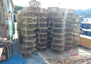 產發處執行違規漁網具清除工作,去年共清除4萬公斤漁網具。(圖:產發處)