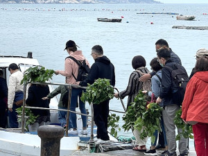 　大坵尋鹿要帶伴手禮，初春剛長成的鮮綠桑葉大熱賣。（圖／文：陳鵬雄）