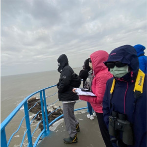 今天是世界海豚日,馬祖海域多次目擊露脊鼠海豚,屬重點保育區域,台中科博館邀請鄉親共同關注海豚生態。(圖:臺中科博館)
