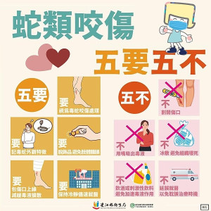 入春後天氣逐漸回暖,正是蛇咬高峰期,衛生局提醒民眾至野外或山區賞花、登山、郊遊時做好防護措施。(圖:連江縣衛生局)