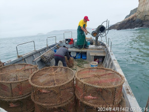 北竿海域查獲違法章魚籠超過3000公斤