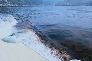 　馬祖列島地理條件為「藍眼淚」提供理想的生存條件，若白天觀察到「赤潮」景觀，夜晚就有很高的機會可看到藍眼淚。（圖：本報資料照片）