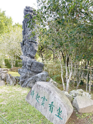坐看雲起時