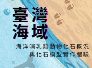 中華民國魚類學會6/2舉辦鯨豚教育宣導　報名