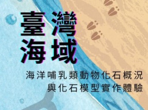 社團法人中華民國魚類學會6月2日辦理鯨豚教育宣導活動,有專題講座以及化石翻模、化石手工皂鑄模體驗。(圖:中華民國魚類學會)