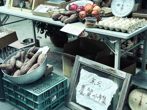 東莒駐村團隊舉辦首場蔬果農貿小市集大獲好評。(圖/文:蔡夢玲、大浦PLUS+)