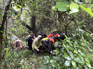 軍警消聯合搜救隊23日上午11時20分於縣醫醫師宿舍左邊小路上方約200公尺尋獲失蹤2天半的劉姓民眾,生命跡象穩定,送醫治療(圖:縣警局)