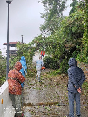 連日大雨,敬恆國中小下方往青帆入村口大樹倒塌,莒光鄉公所獲報,立即派員處理,並於上午11時左右恢復通行。(圖/文:宋幸儒、莒光鄉公所)