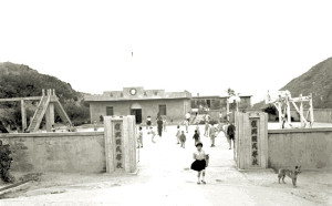 復興國校。(1965)
