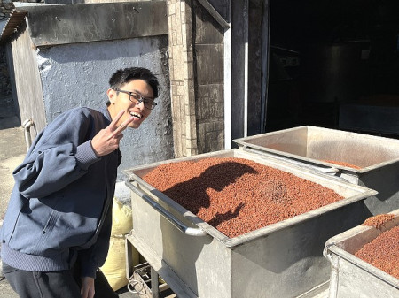 新鮮的酒醪