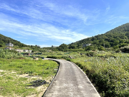 　務農人口老化凋零，坂里農田產業道路兩側多已呈現廢耕狀態。（圖／文：陳鵬雄）