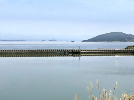 　坂里水庫距離滿水位溢流口只差臨門一腳，總蓄水量近15萬噸。（圖／文：陳鵬雄）