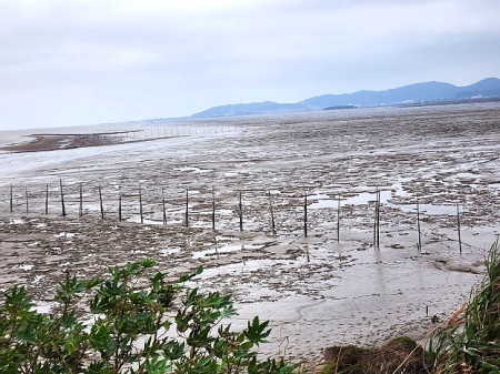 鄰文石村的閩江河口濕地