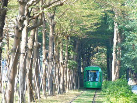 高雄龍貓隧道