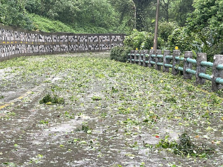 　25日凱米颱風掃過帶來強風，北竿地區無重大災情傳出。（圖／文：陳鵬雄）