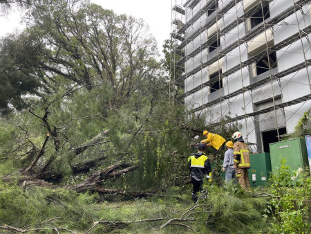 西坵活動中心往雷達站路段，大樹倒塌壓到變電箱，目前搶修中