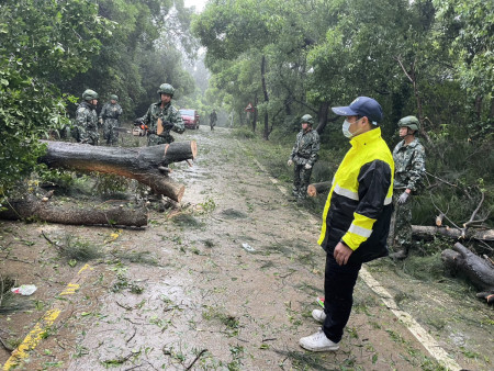 山線往仁愛方向樹倒已處理，可單向通車