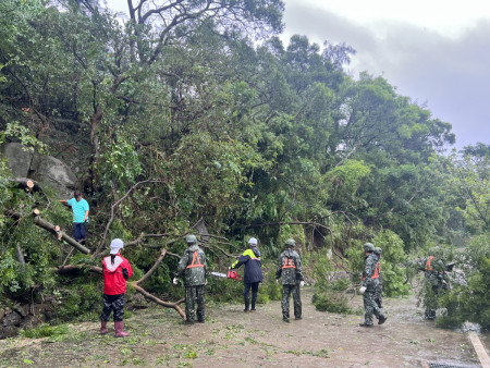 颱風「回南」逞威，東引地區樹木折斷傾倒情況加重，包括中正路及衛生所、如意山莊等附近路段都有路樹傾倒、樹葉散落的髒亂景象，今天上午風雨緩和後，東引鄉長林德建帶領國軍弟兄、鄉公所員工展開清理