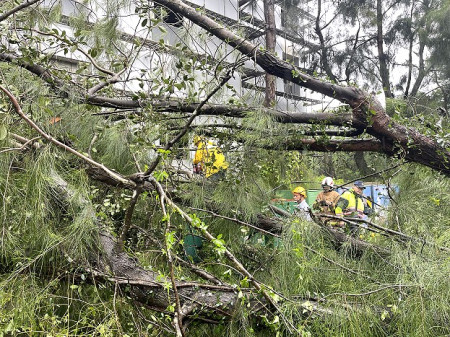 「凱米」颱風掠過馬祖,強風大雨帶來災情,各方協助讓道路恢復通行。(圖/文:宋幸儒)
