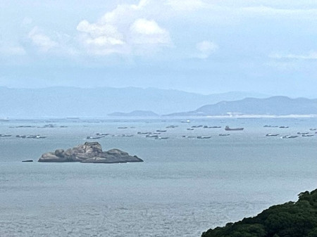 　休漁結束，傾巢而出。（圖與文：陳鵬雄）