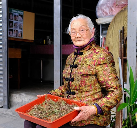 依蘭婆婆自採草藥嘉惠鄉里