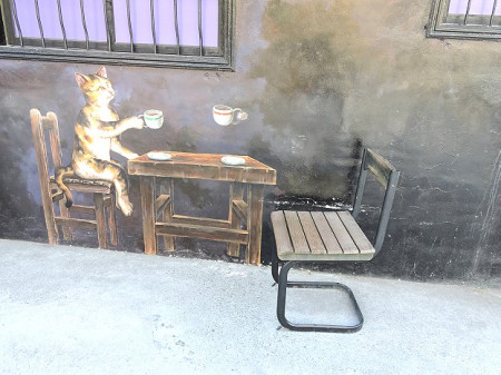 與貓咪喝咖啡