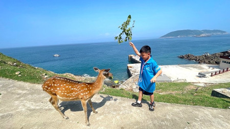共譜友誼新篇章,兩馬青少年文化體育夏令營。(圖:本報採訪部、龍福旅行社)