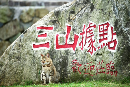 　據點新兵。（圖與文：陳其敏）