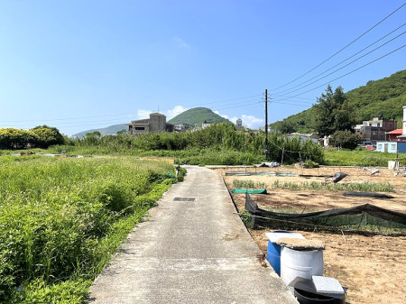 一片農地兩樣情。（圖與文：陳鵬雄）
