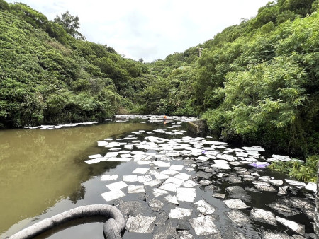 志清電廠油污水外洩持續清理中,環資局表示將依法開罰。(圖/文:馮紹夫)
