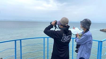 海保署推動馬祖海域露脊鼠海豚的研究調查,並大力推廣「在地化」保育理念。(圖:海保署)