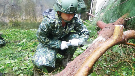 營區樹枝修剪。（圖：林哲良）