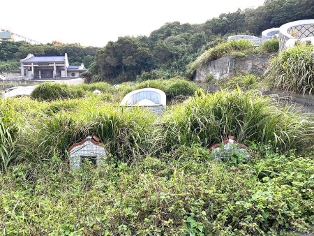 　網友「東引鄉民」在本報「馬上處理」反映東引鄉公墓雜草叢生像亂葬崗。（圖︰摘自本報馬上處理）